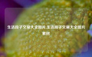 生活段子文案大全图片,生活段子文案大全图片素材