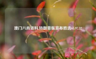 澳门八肖资料,特朗普版宣布胜选65.97.32