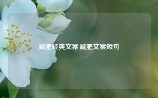 减肥经典文案,减肥文案短句