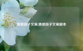 情感段子文案,情感段子文案剧本