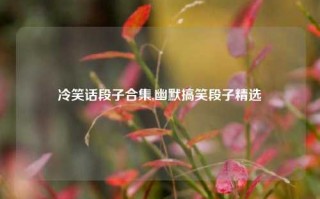 冷笑话段子合集,幽默搞笑段子精选