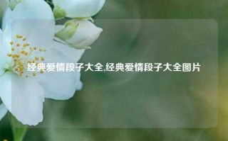 经典爱情段子大全,经典爱情段子大全图片