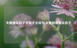 夫妻搞笑段子文案大全短句,夫妻超级搞笑段子