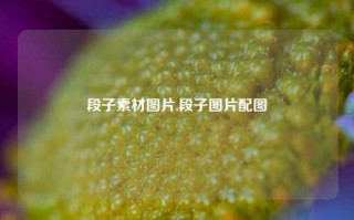 段子素材图片,段子图片配图