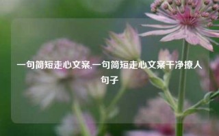 一句简短走心文案,一句简短走心文案干净撩人句子