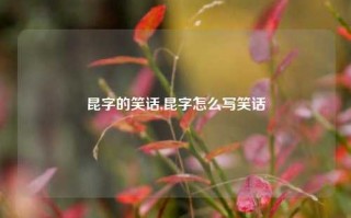 昆字的笑话,昆字怎么写笑话