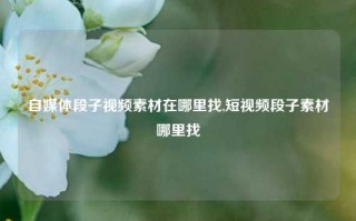 自媒体段子视频素材在哪里找,短视频段子素材哪里找