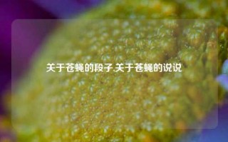 关于苍蝇的段子,关于苍蝇的说说