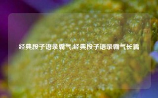 经典段子语录霸气,经典段子语录霸气长篇