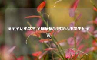 搞笑笑话小学生,全国最搞笑的笑话小学生短笑话