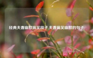 经典夫妻幽默搞笑段子,夫妻搞笑幽默的句子