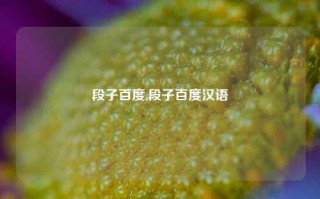 段子百度,段子百度汉语