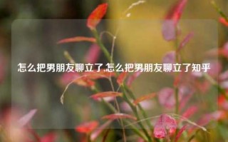 怎么把男朋友聊立了,怎么把男朋友聊立了知乎