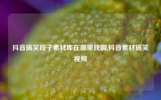 抖音搞笑段子素材库在哪里找啊,抖音素材搞笑视频