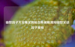 幽默段子大全爆笑简短合集视频,简短幽默笑话段子视频