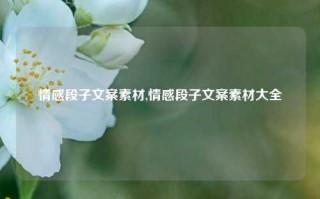 情感段子文案素材,情感段子文案素材大全