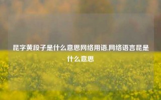 昆字黄段子是什么意思网络用语,网络语言昆是什么意思