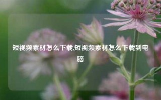 短视频素材怎么下载,短视频素材怎么下载到电脑