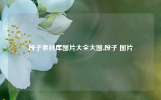 段子素材库图片大全大图,段子 图片