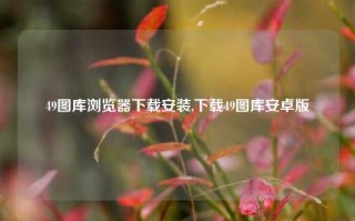 49图库浏览器下载安装,下载49图库安卓版