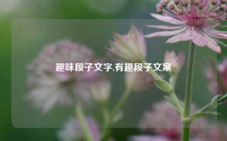 趣味段子文字,有趣段子文案