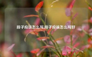 段子应该怎么写,段子应该怎么写好