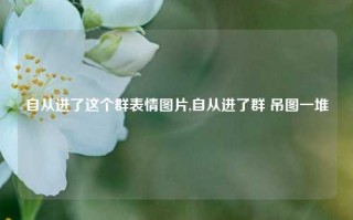 自从进了这个群表情图片,自从进了群 吊图一堆