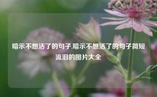 暗示不想活了的句子,暗示不想活了的句子简短流泪的图片大全