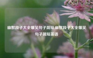 幽默段子大全爆笑句子简短,幽默段子大全爆笑句子简短英语