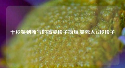 十秒笑到断气的搞笑段子简短,笑死人15秒段子