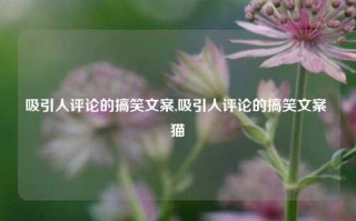 吸引人评论的搞笑文案,吸引人评论的搞笑文案 猫