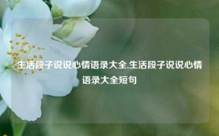 生活段子说说心情语录大全,生活段子说说心情语录大全短句