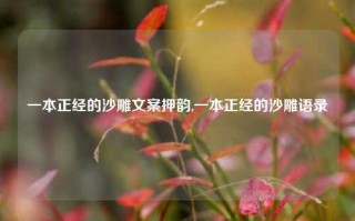 一本正经的沙雕文案押韵,一本正经的沙雕语录