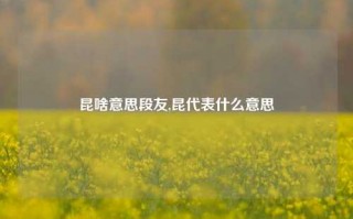 昆啥意思段友,昆代表什么意思