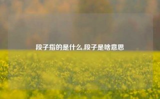 段子指的是什么,段子是啥意思