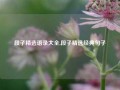 段子精选语录大全,段子精选经典句子