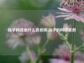 段子网络是什么意思啊,段子的网络意思