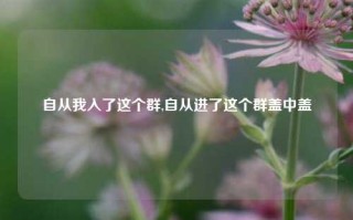 自从我入了这个群,自从进了这个群盖中盖