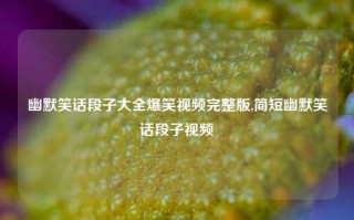 幽默笑话段子大全爆笑视频完整版,简短幽默笑话段子视频