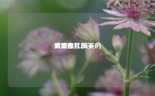 搞笑幽默段子
大全图片,搞笑的
有哪些