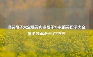 搞笑段子大全爆笑内涵段子30字,搞笑段子大全爆笑内涵段子30字左右