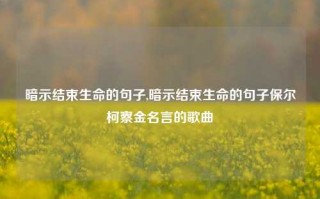 暗示结束生命的句子,暗示结束生命的句子保尔柯察金名言的歌曲