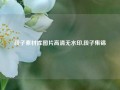 段子素材库图片高清无水印,段子集锦