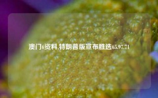 澳门6资料,特朗普版宣布胜选65.97.71