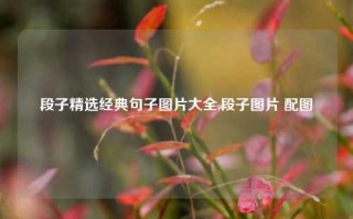 段子精选经典句子图片大全,段子图片 配图