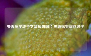 夫妻搞笑段子文案短句图片,夫妻搞笑幽默段子