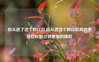 自从进了这个群以后,自从进这个群以后我的生活比以前过得更加的精彩