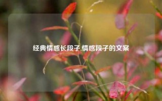 经典情感长段子,情感段子的文案