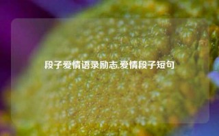 段子爱情语录励志,爱情段子短句