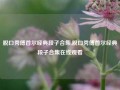 脱口秀傅首尔经典段子合集,脱口秀傅首尔经典段子合集在线观看